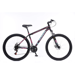 BICI WAL-HER 29 MTB 83879 KUWARA ACERO 24V F/DIS