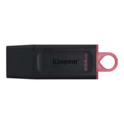 PENDRIVE KINGSTON DTX-256 256 GB