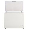 FREEZER PATRICK FHP300B 300 LTS. BLANCO