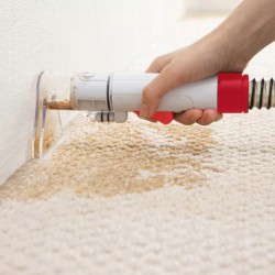 LIMPIA TAPIZADO TELEFUNKEN SMART WASH 6700 700 W.