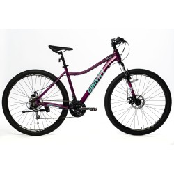 BICI GRAVITY DABOMB 29" SHIMANO 21 V. ALUMINIO