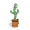 CACTUS BAILARIN LOVE 3830