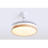 VENTILADOR DE TECHO STAR TRAK RETRACTIL STVT42-BA