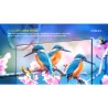 SMART TV NOBLEX 50" DB50X3110 FULL HD ROKU TV