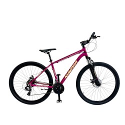 BICI WAL-HER 29 MTB 83889 KUWARA ALUMINIO 24 V. F/DISCO