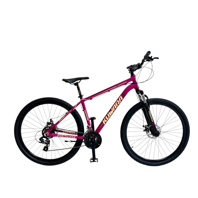 BICI WAL-HER 29 MTB 83889 KUWARA ALUMINIO 24 V. F/DISCO