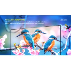 SMART TV NOBLEX 32" DB32X3010 HD ROKU TV